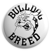BULLDOG BREED Chapa/ Button Badge