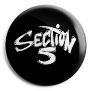 SECTION 5 Chapa/ Button Badge