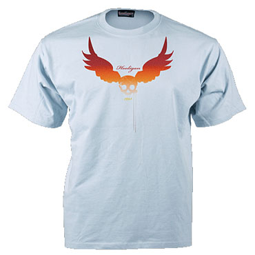 TS FLYER Camiseta Azul celeste / T-shirt HOOLIGAN STREETWEAR