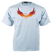 TS FLYER Iceblue T-shirt / T-shirt HOOLIGAN STREETWEAR
